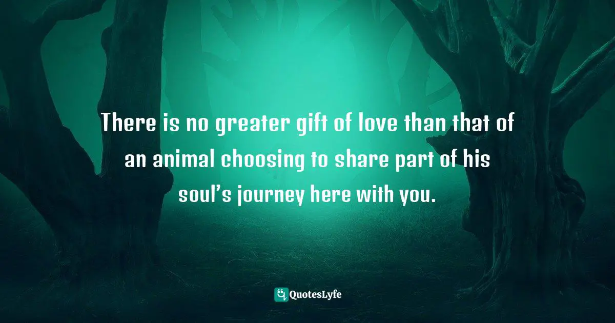 There is no greater gift of love than that of an animal choosing to share part of his soul’s journey here with you.