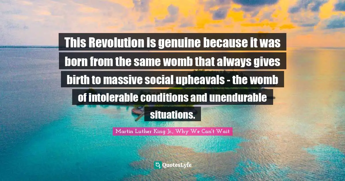 This Revolution is genuine because it was born from the same womb that always gives birth to massive social upheavals - the womb of intolerable conditions and unendurable situations.