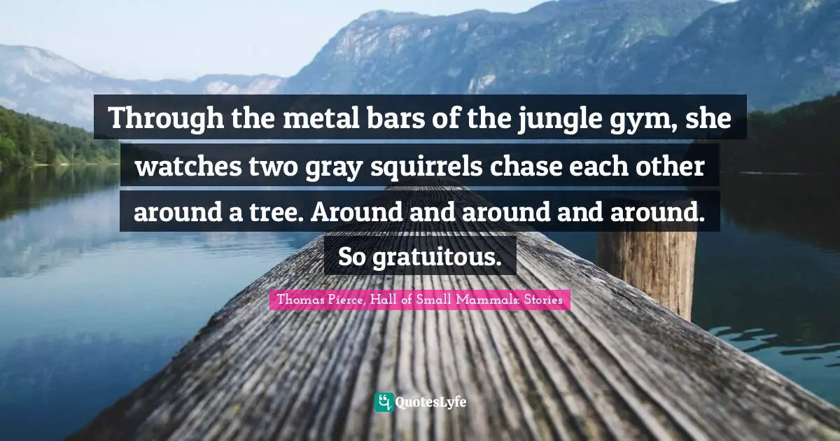 Through the metal bars of the jungle gym, she watches two gray squirrels chase each other around a tree. Around and around and around. So gratuitous.