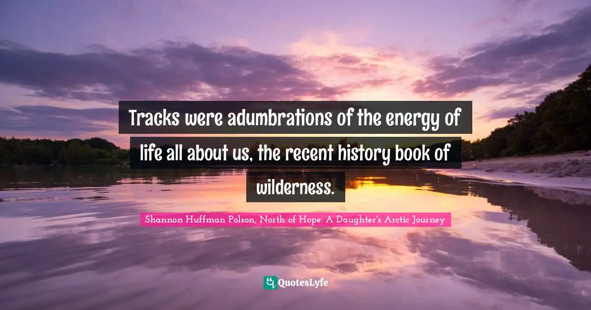 Tracks were adumbrations of the energy of life all about us, the recent history book of wilderness.