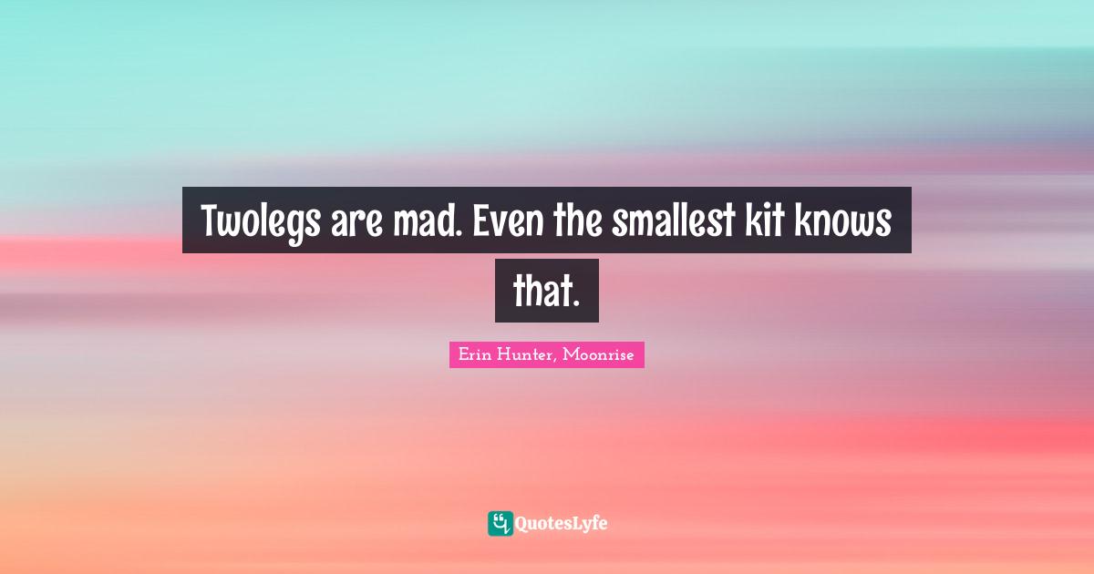 Twolegs are mad. Even the smallest kit knows that.