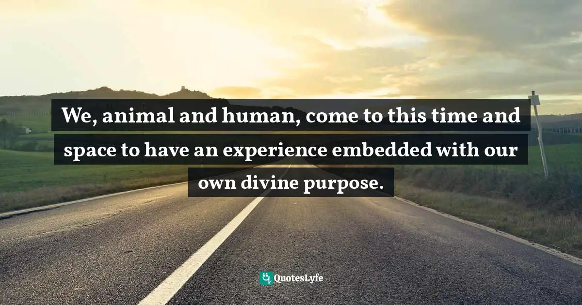 Purpose In Life Quotes: "We, animal and human, come to this time and space to have an experience embedded with our own divine purpose."
