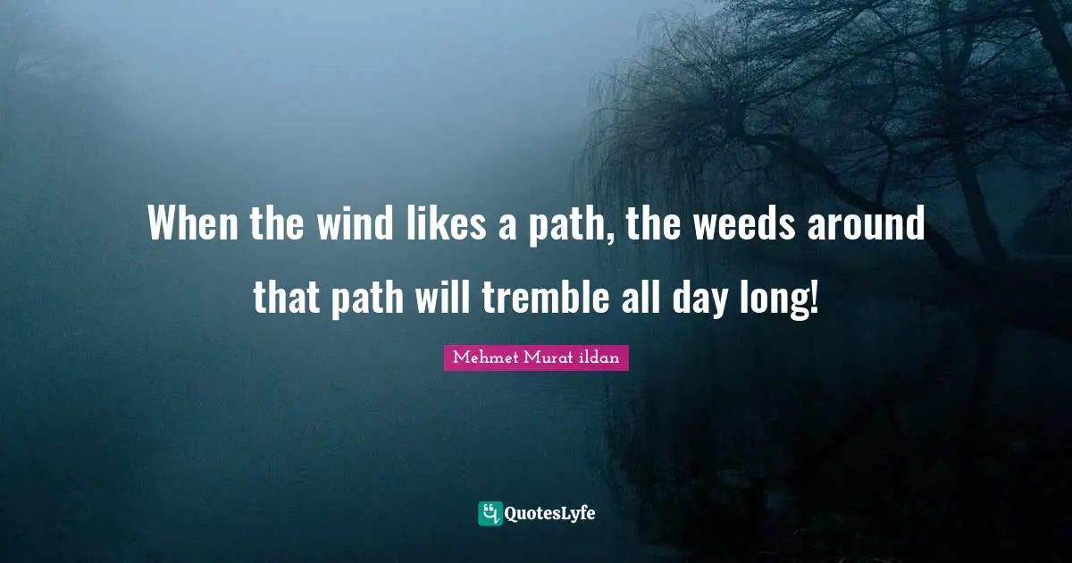 When the wind likes a path, the weeds around that path will tremble all day long!