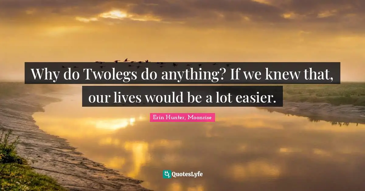 Why do Twolegs do anything? If we knew that, our lives would be a lot easier.