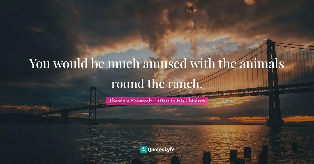 You would be much amused with the animals round the ranch.