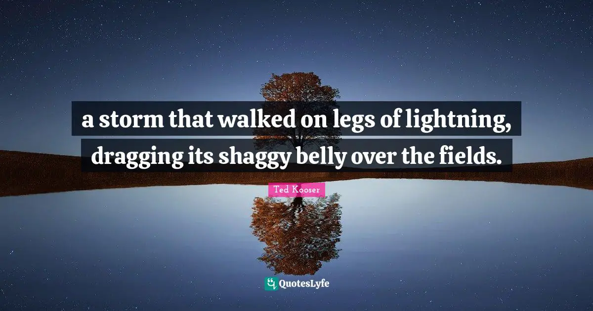 a storm that walked on legs of lightning, dragging its shaggy belly over the fields.