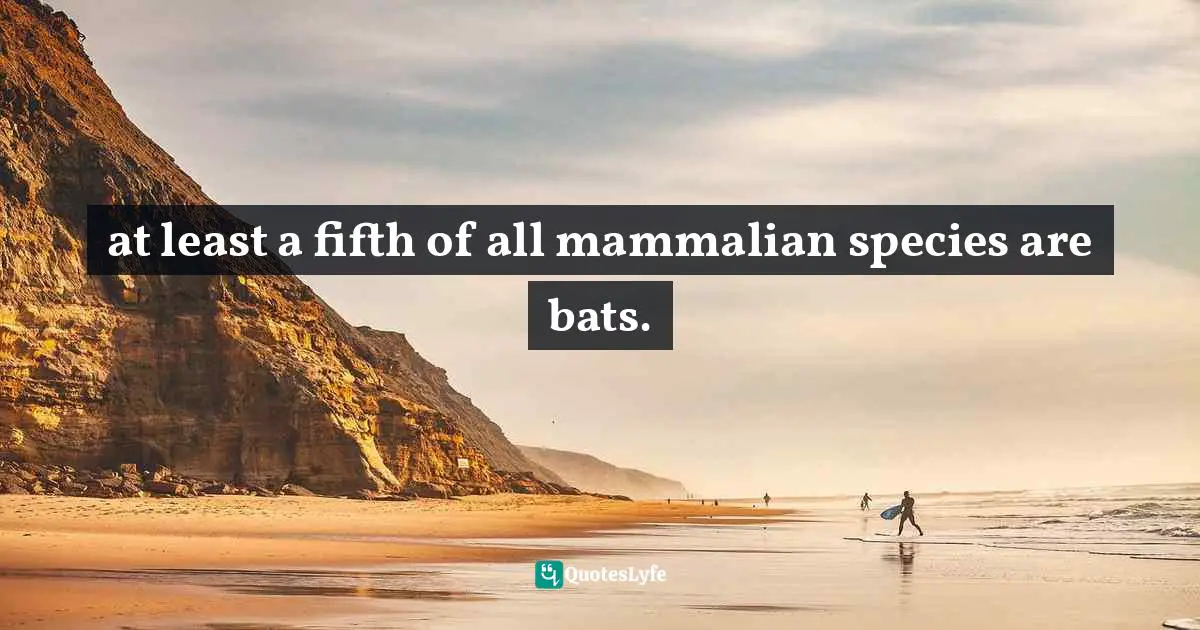 at least a fifth of all mammalian species are bats.