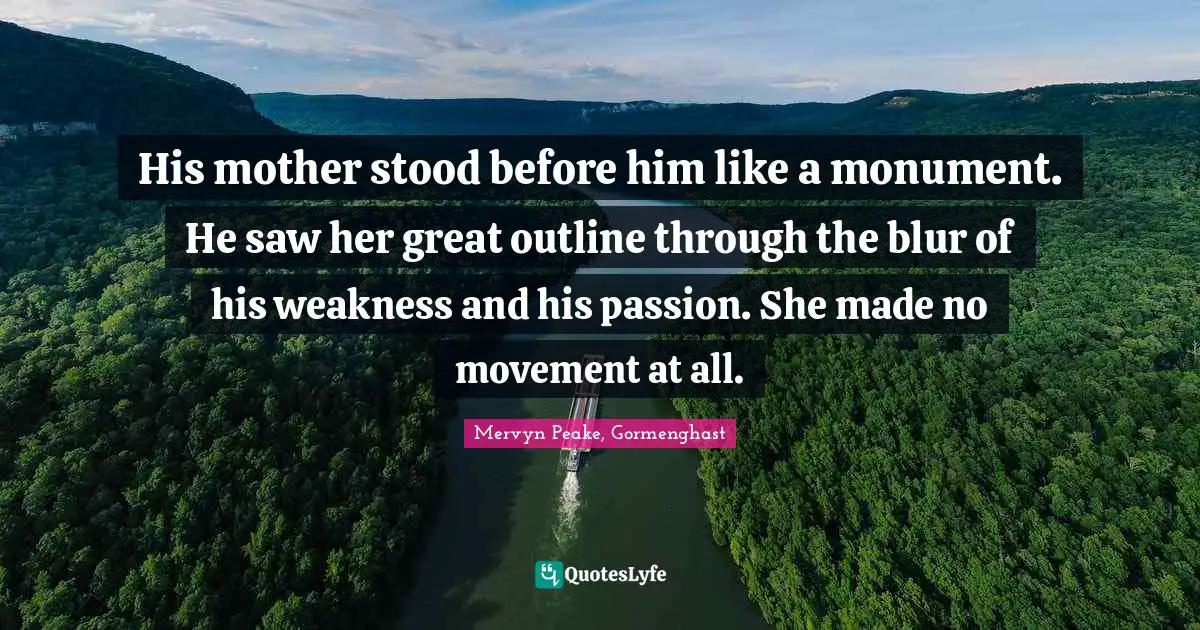 His mother stood before him like a monument. He saw her great outline through the blur of his weakness and his passion. She made no movement at all.