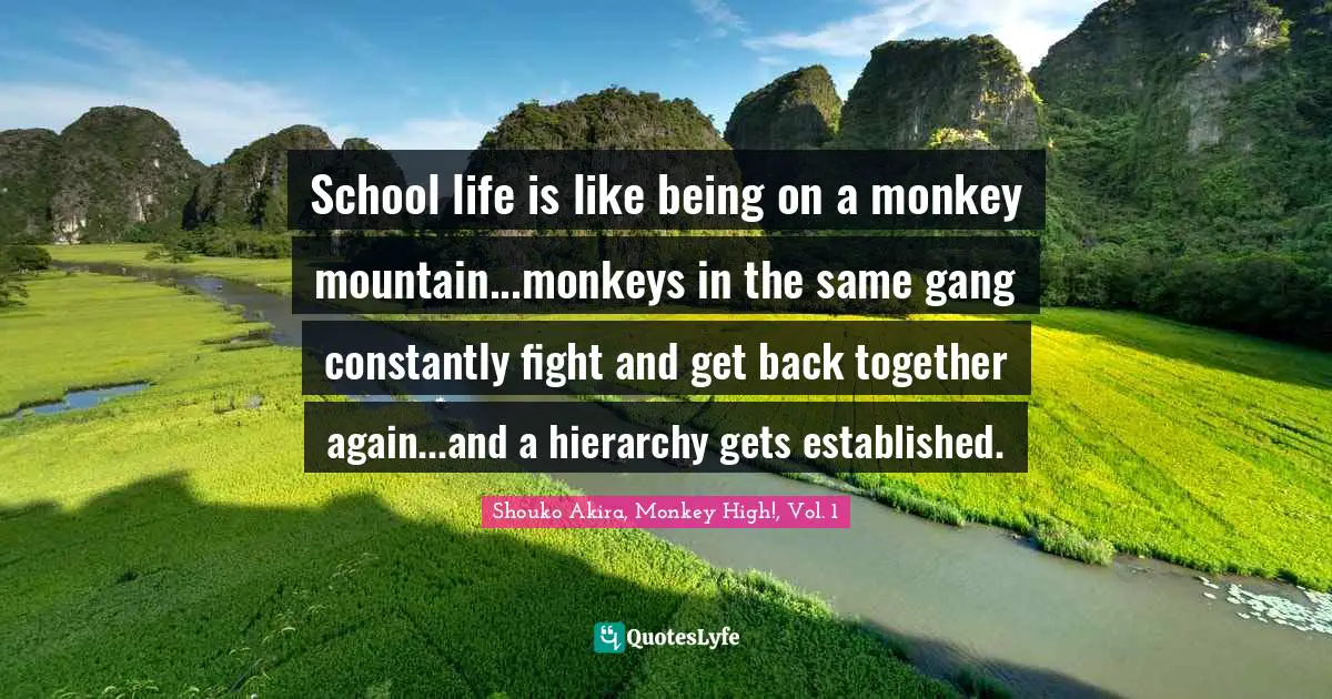 School life is like being on a monkey mountain...monkeys in the same gang constantly fight and get back together again...and a hierarchy gets established.