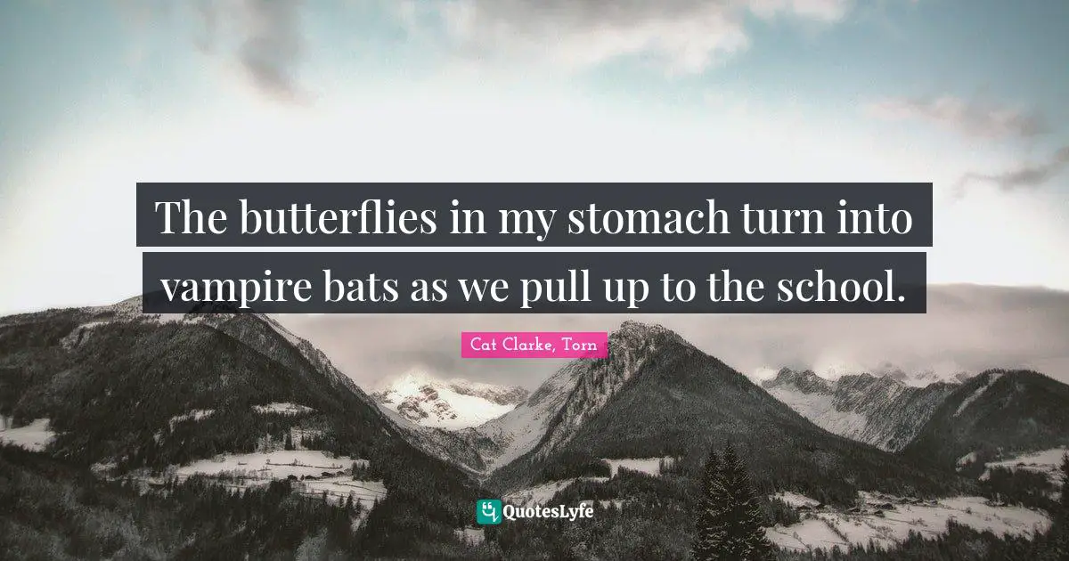 Cat Clarke, Torn Quotes: "The butterflies in my stomach turn into vampire bats as we pull up to the school."