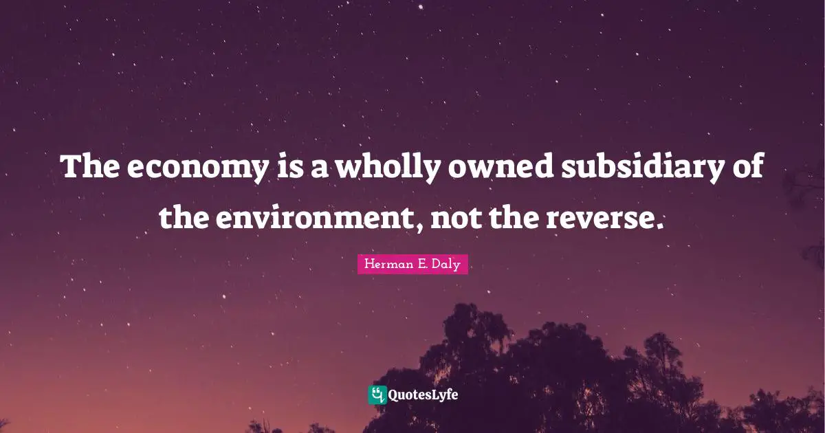 The economy is a wholly owned subsidiary of the environment, not the reverse.