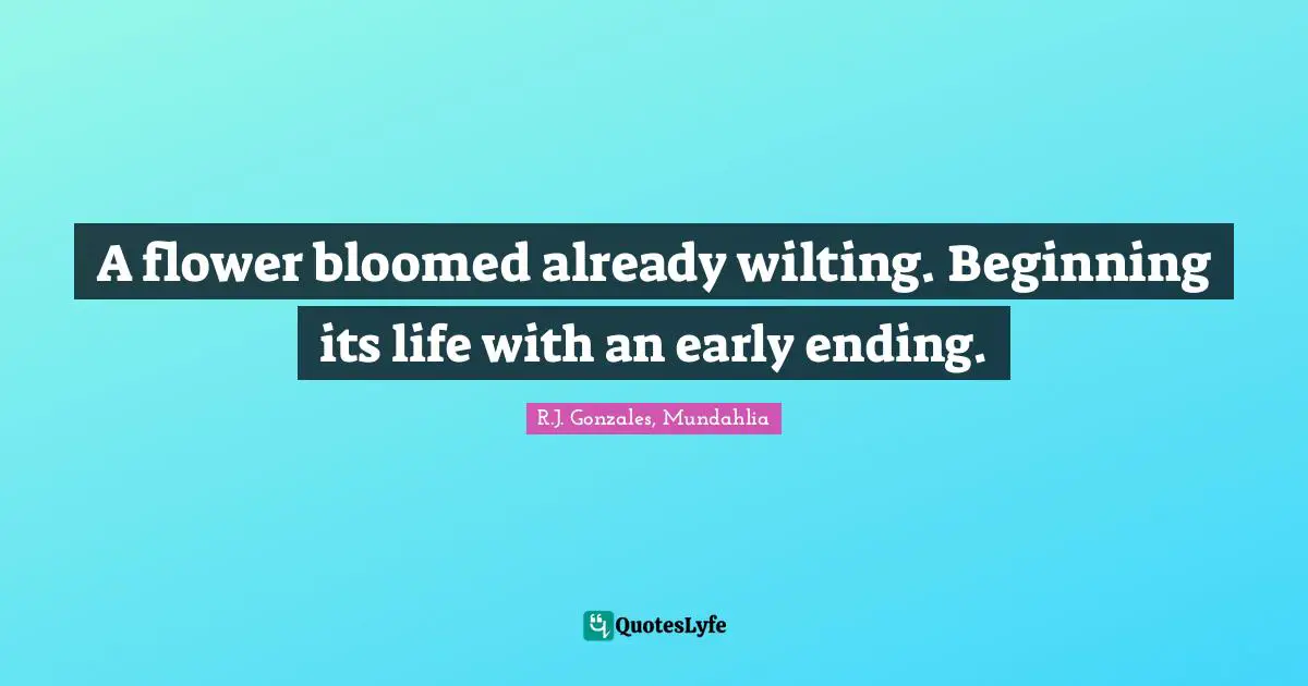 A flower bloomed already wilting. Beginning its life with an early ending.