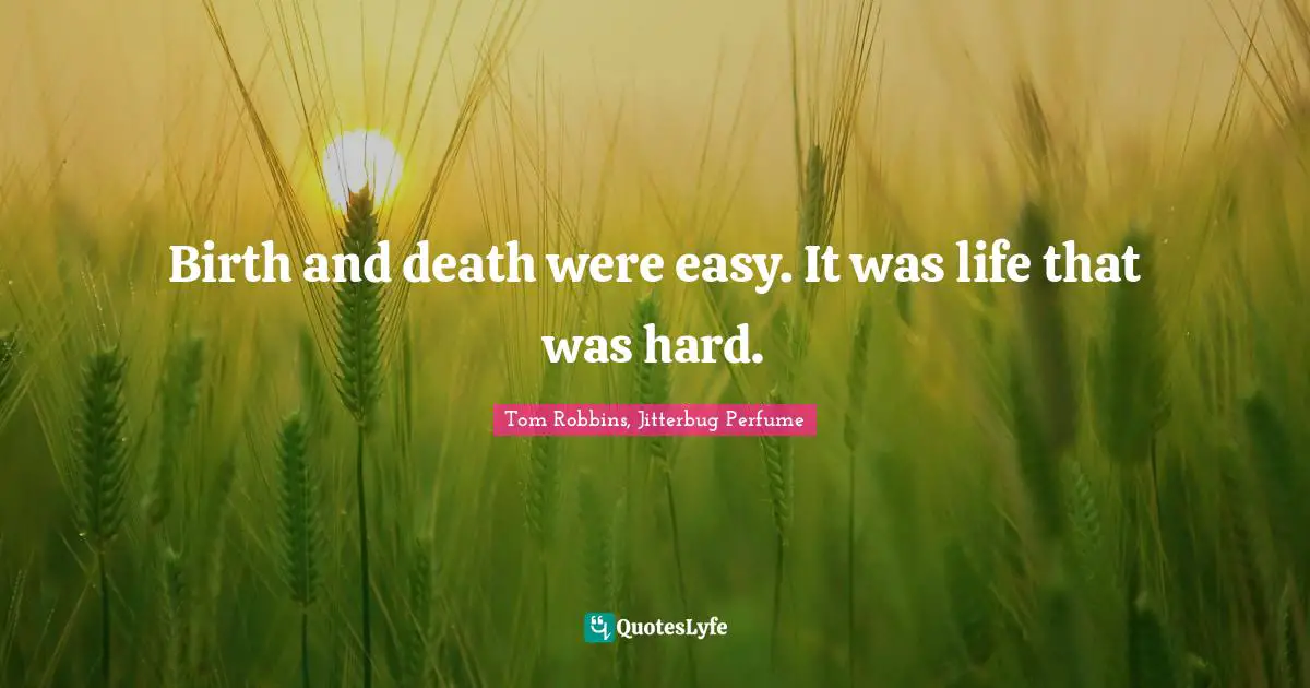 Birth and death were easy. It was life that was hard.
