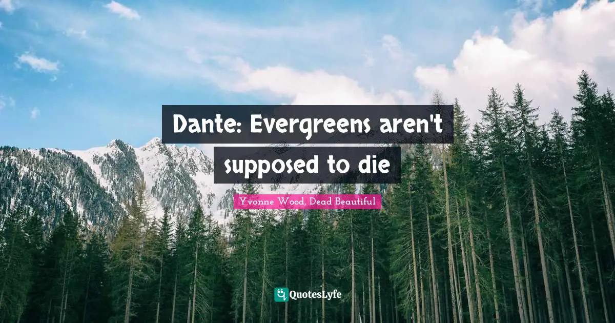 Dante: Evergreens aren't supposed to die