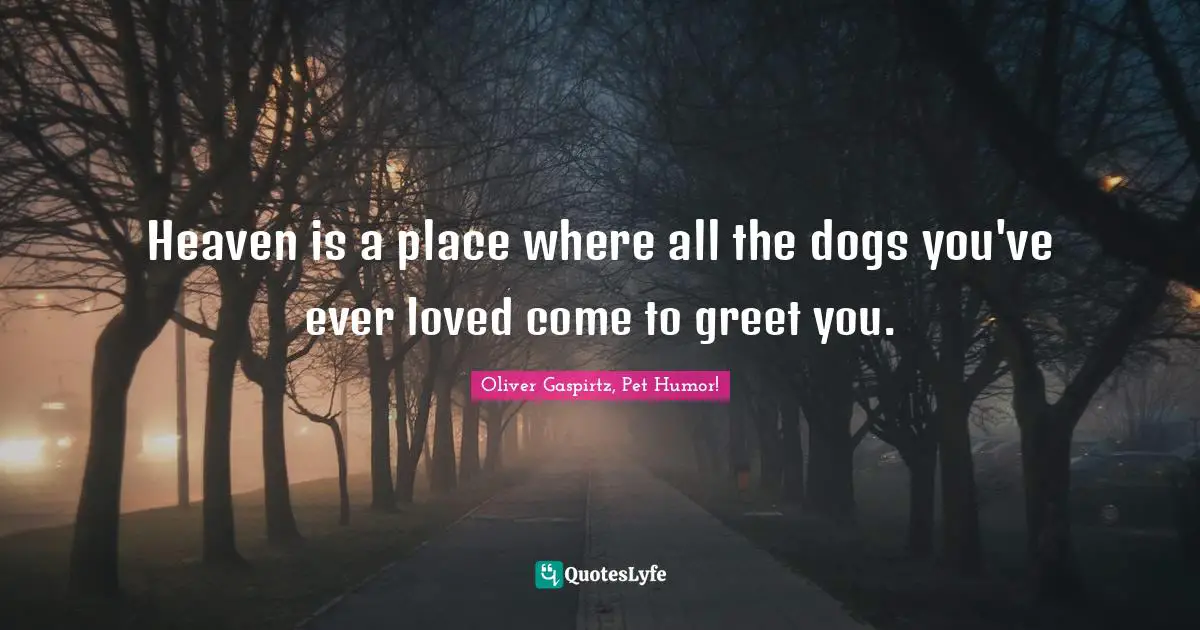 Oliver Gaspirtz, Pet Humor! Quotes: Heaven is a place where all the dogs you've ever loved come to greet you.
