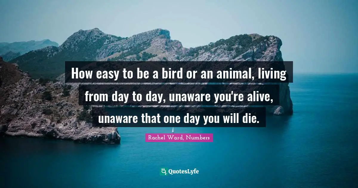 How easy to be a bird or an animal, living from day to day, unaware you're alive, unaware that one day you will die.