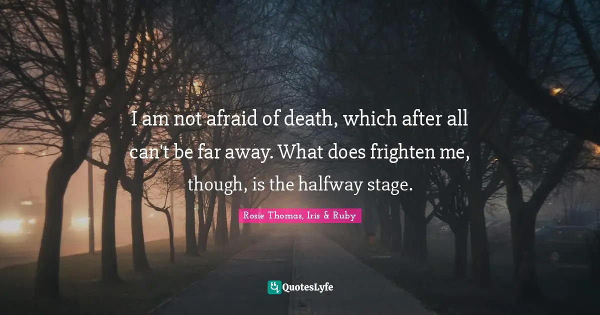 I am not afraid of death, which after all can't be far away. What does frighten me, though, is the halfway stage.