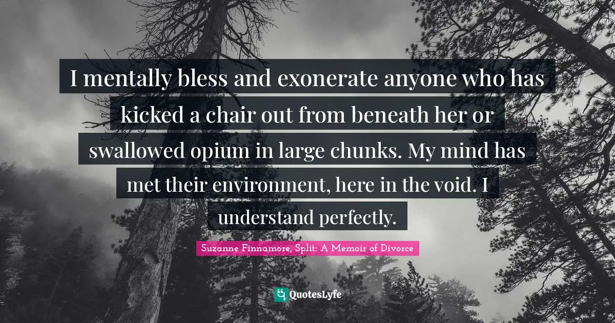 Seperation Quotes: "I mentally bless and exonerate anyone who has kicked a chair out from beneath her or swallowed opium in large chunks. My mind has met their environment, here in the void. I understand perfectly."
