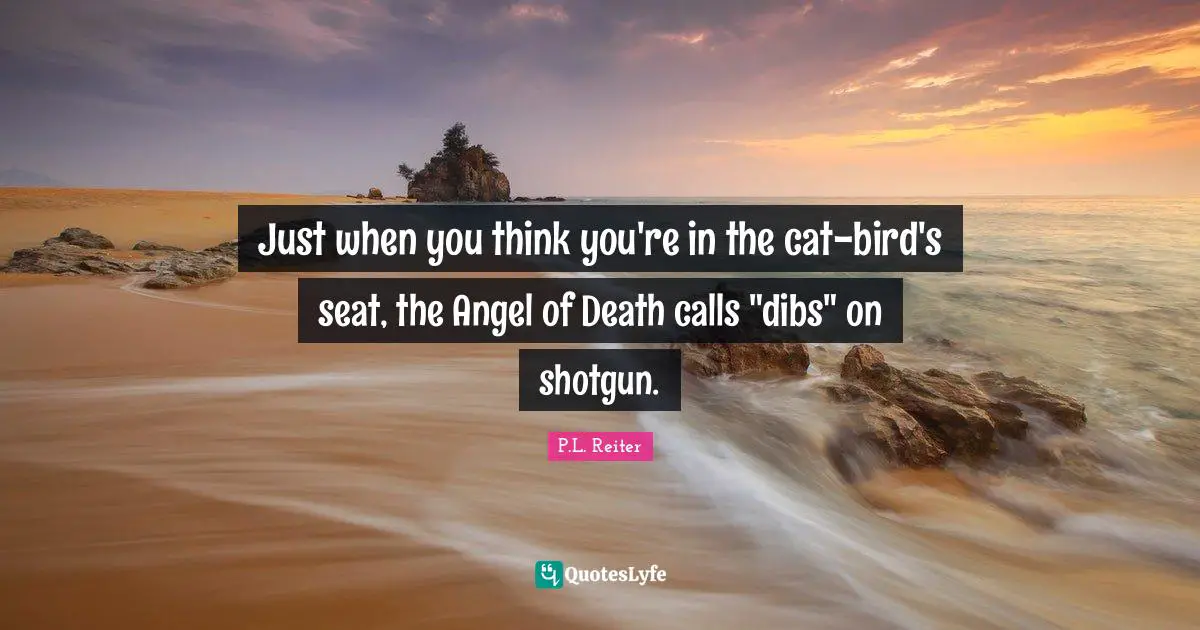 Just when you think you're in the cat-bird's seat, the Angel of Death calls "dibs" on shotgun.