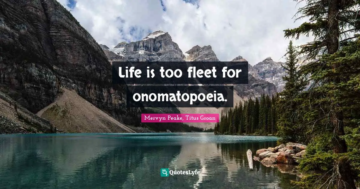 Of Context Quotes: "Life is too fleet for onomatopoeia."