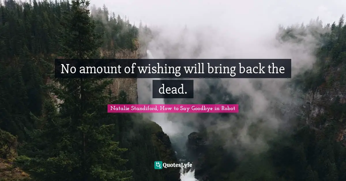 No amount of wishing will bring back the dead.