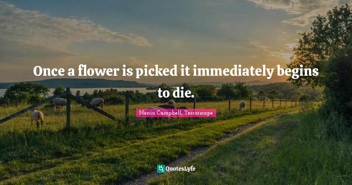 Once a flower is picked it immediately begins to die.