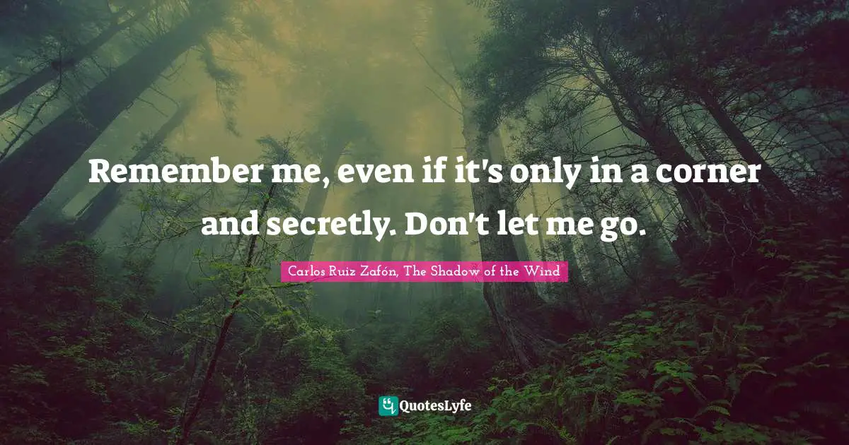 Remember me, even if it's only in a corner and secretly. Don't let me go.