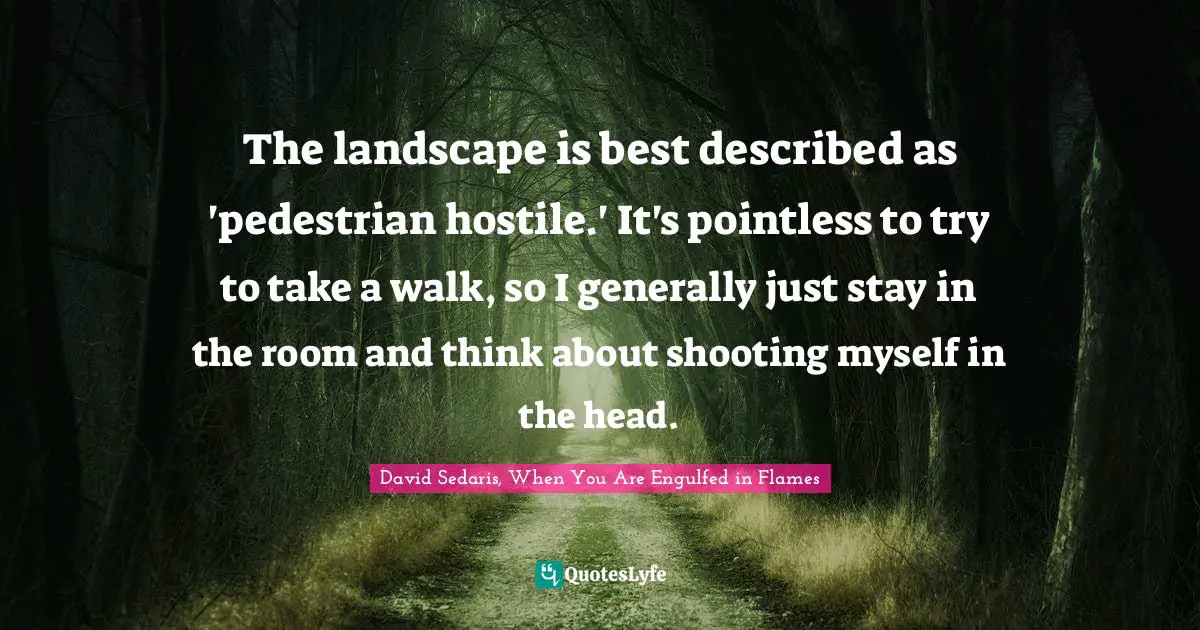 The landscape is best described as 'pedestrian hostile.' It's pointless to try to take a walk, so I generally just stay in the room and think about shooting myself in the head.
