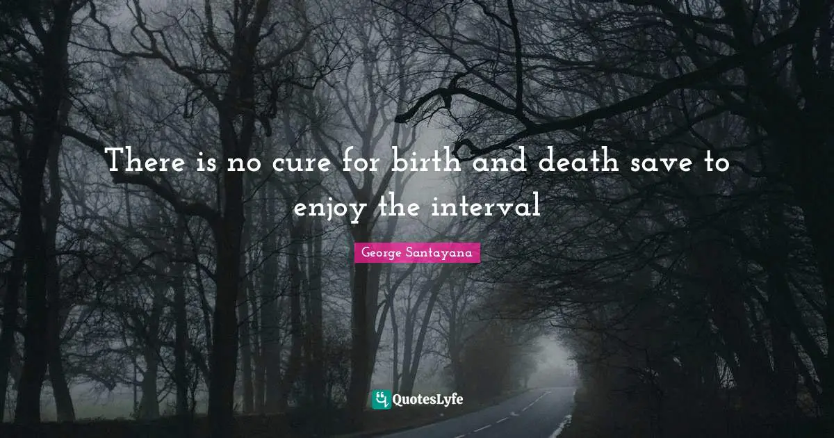 There is no cure for birth and death save to enjoy the interval