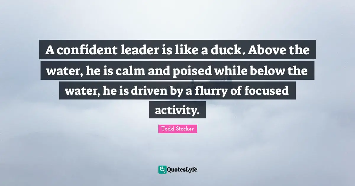 A confident leader is like a duck. Above the water, he is calm and poised while below the water, he is driven by a flurry of focused activity.