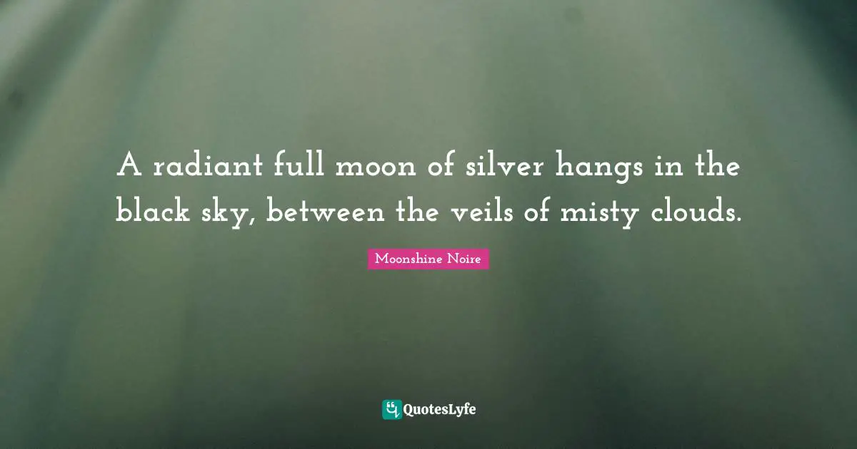 A radiant full moon of silver hangs in the black sky, between the veils of misty clouds.