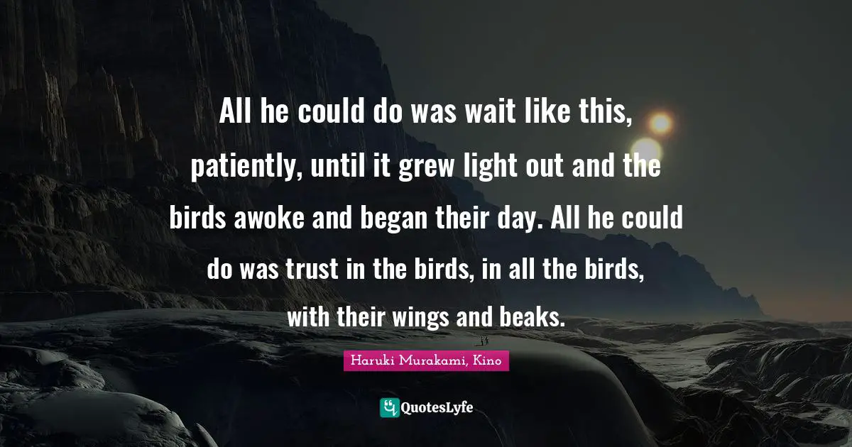 All he could do was wait like this, patiently, until it grew light out and the birds awoke and began their day. All he could do was trust in the birds, in all the birds, with their wings and beaks.