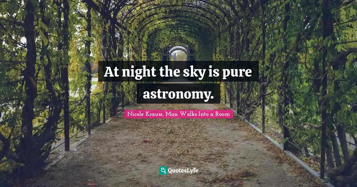 At night the sky is pure astronomy.