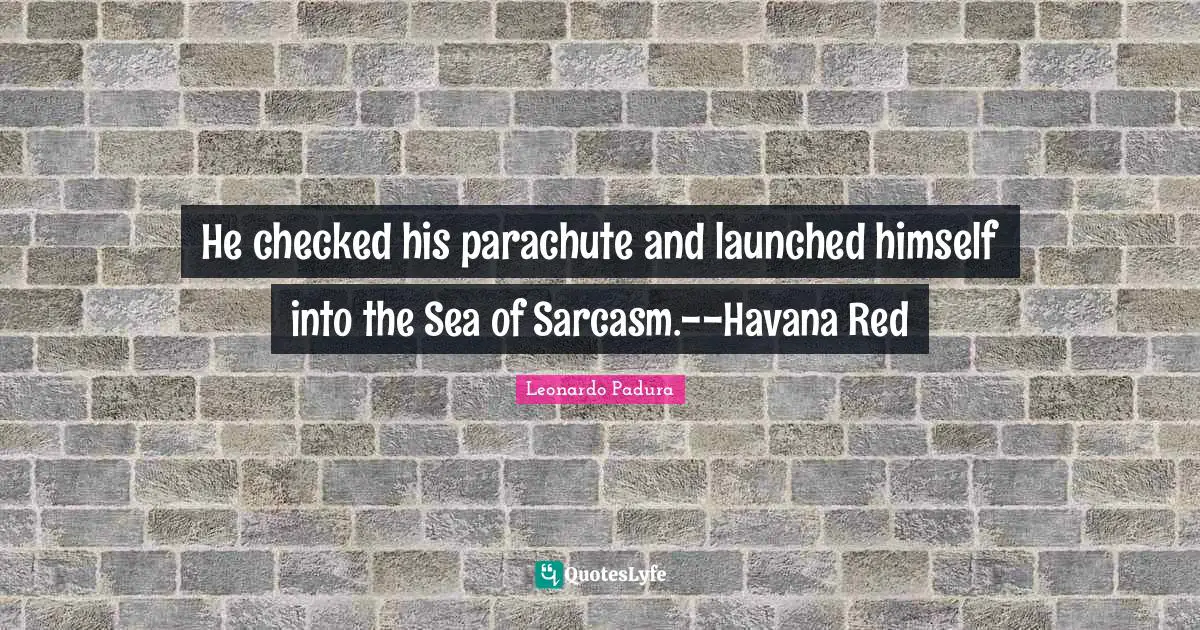 He checked his parachute and launched himself into the Sea of Sarcasm.--Havana Red