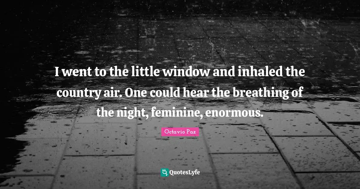 I went to the little window and inhaled the country air. One could hear the breathing of the night, feminine, enormous.