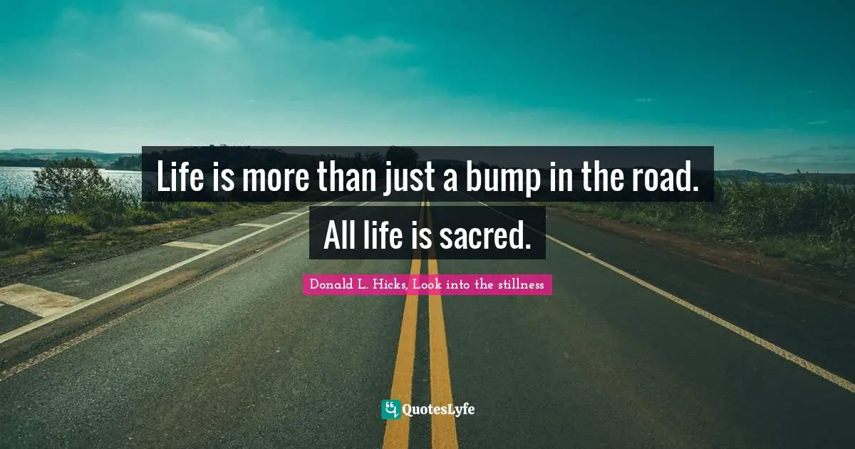 Life is more than just a bump in the road. All life is sacred.