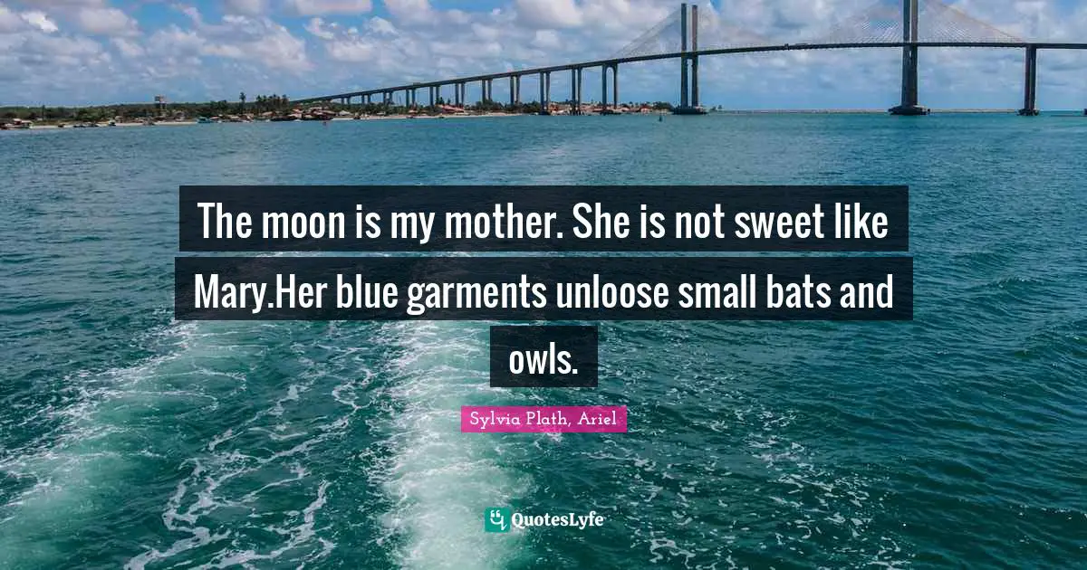The moon is my mother. She is not sweet like Mary.Her blue garments unloose small bats and owls.