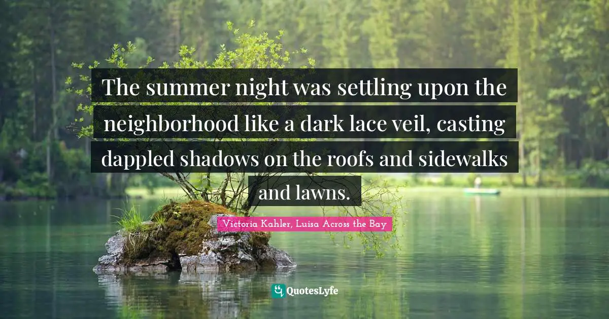 Shadows Quotes: "The summer night was settling upon the neighborhood like a dark lace veil, casting dappled shadows on the roofs and sidewalks and lawns."