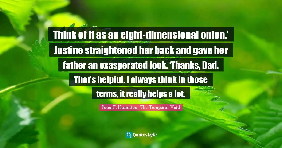 Think of it as an eight-dimensional onion.’ Justine straightened her back and gave her father an exasperated look. ‘Thanks, Dad. That’s helpful. I always think in those terms, it really helps a lot.