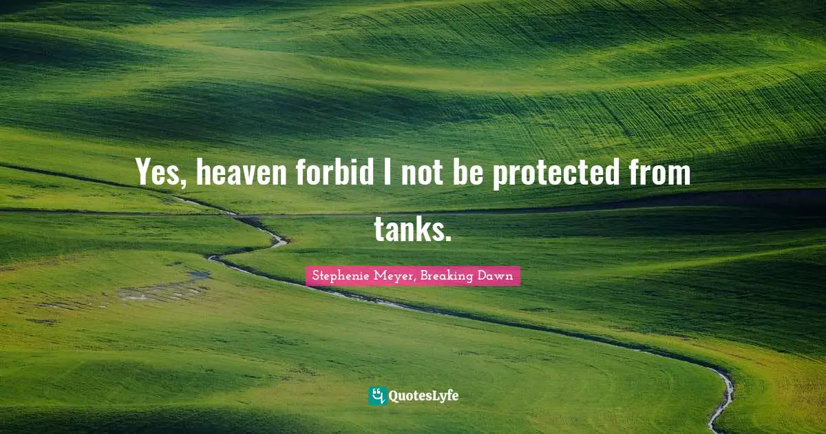 Yes, heaven forbid I not be protected from tanks.