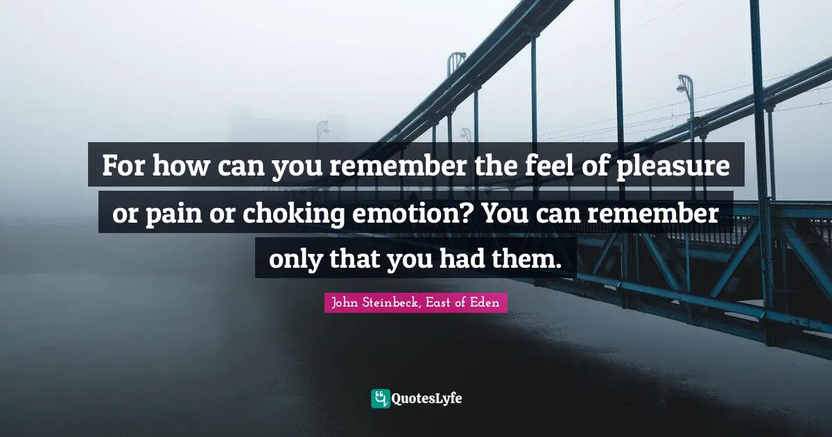 For how can you remember the feel of pleasure or pain or choking emotion? You can remember only that you had them.