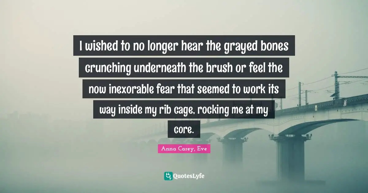 I wished to no longer hear the grayed bones crunching underneath the brush or feel the now inexorable fear that seemed to work its way inside my rib cage, rocking me at my core.