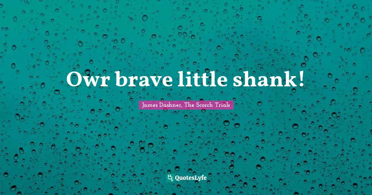 Owr brave little shank!