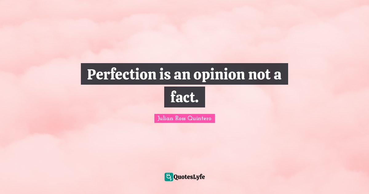 Perfection is an opinion not a fact.