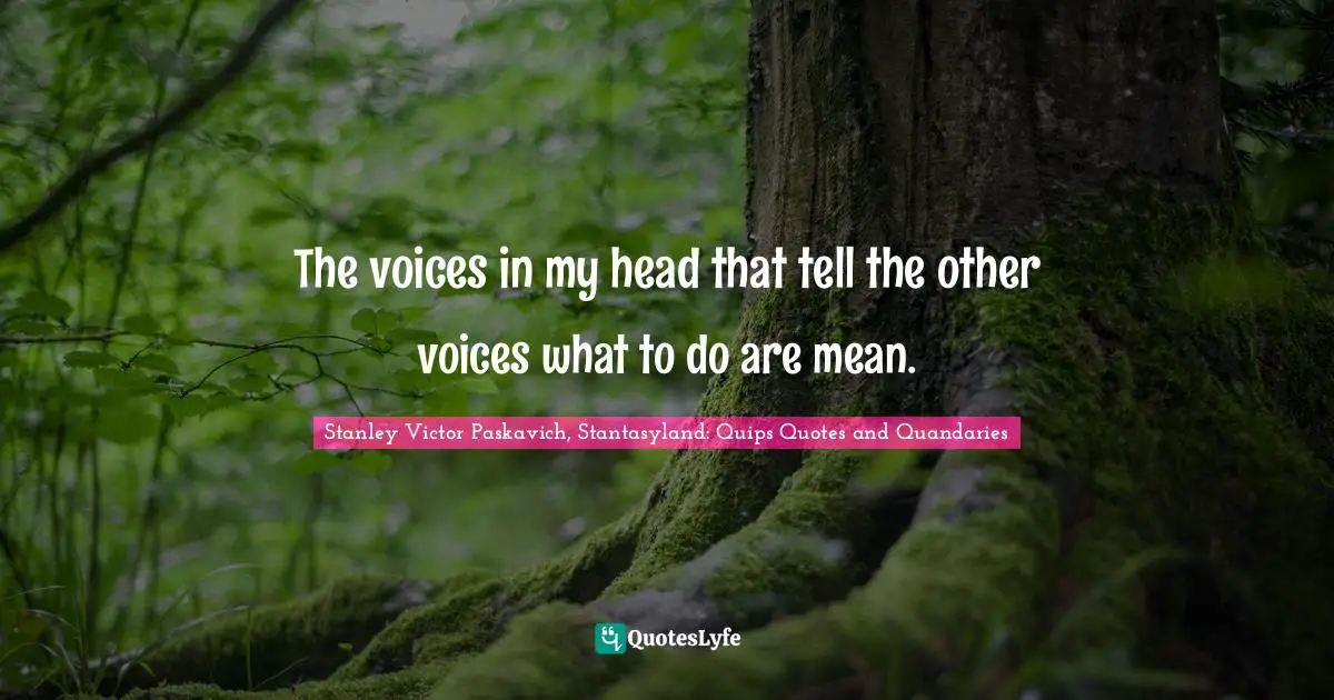 Stanley Victor Paskavich, Stantasyland: Quips Quotes and Quandaries Quotes: The voices in my head that tell the other voices what to do are mean.