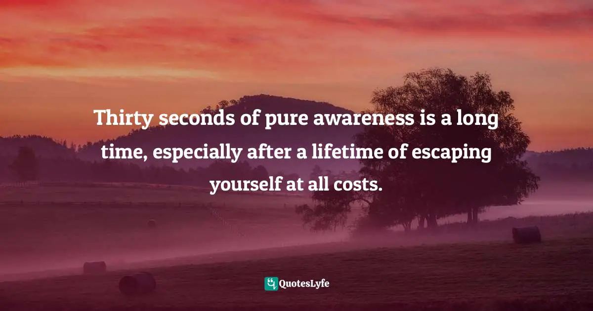 Kiera Van Gelder, The Buddha and the Borderline: My Recovery from Borderline Personality Disorder through Dialectical Behavior Therapy, Buddhism, and Online Dating Quotes: Thirty seconds of pure awareness is a long time, especially after a lifetime of escaping yourself at all costs.