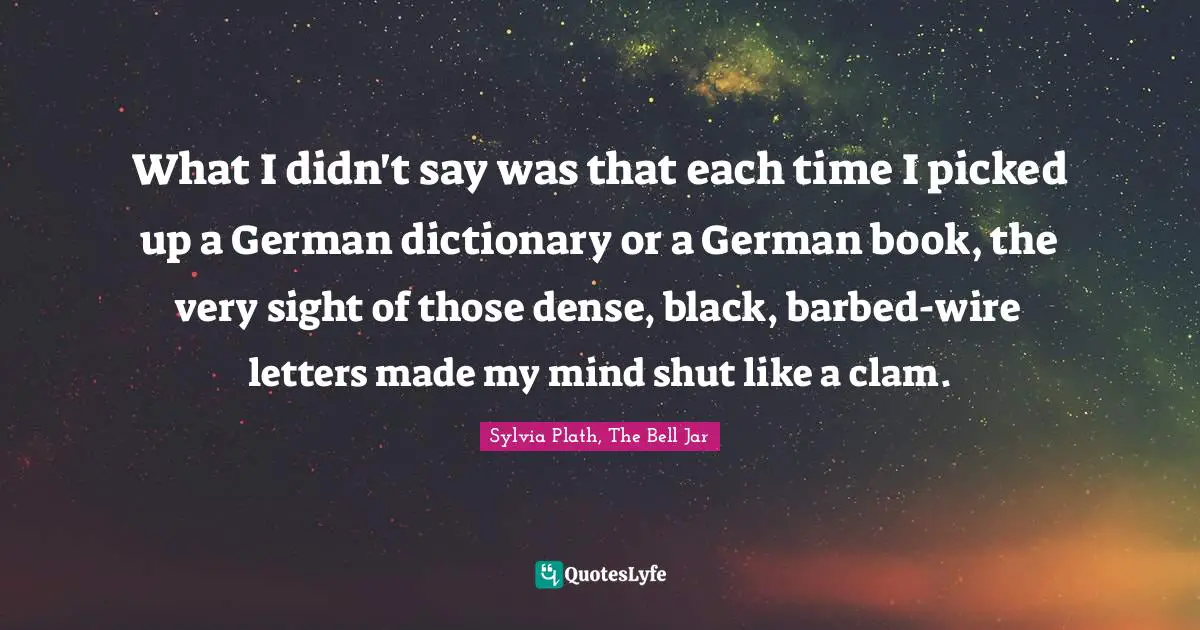 What I didn't say was that each time I picked up a German dictionary or a German book, the very sight of those dense, black, barbed-wire letters made my mind shut like a clam.