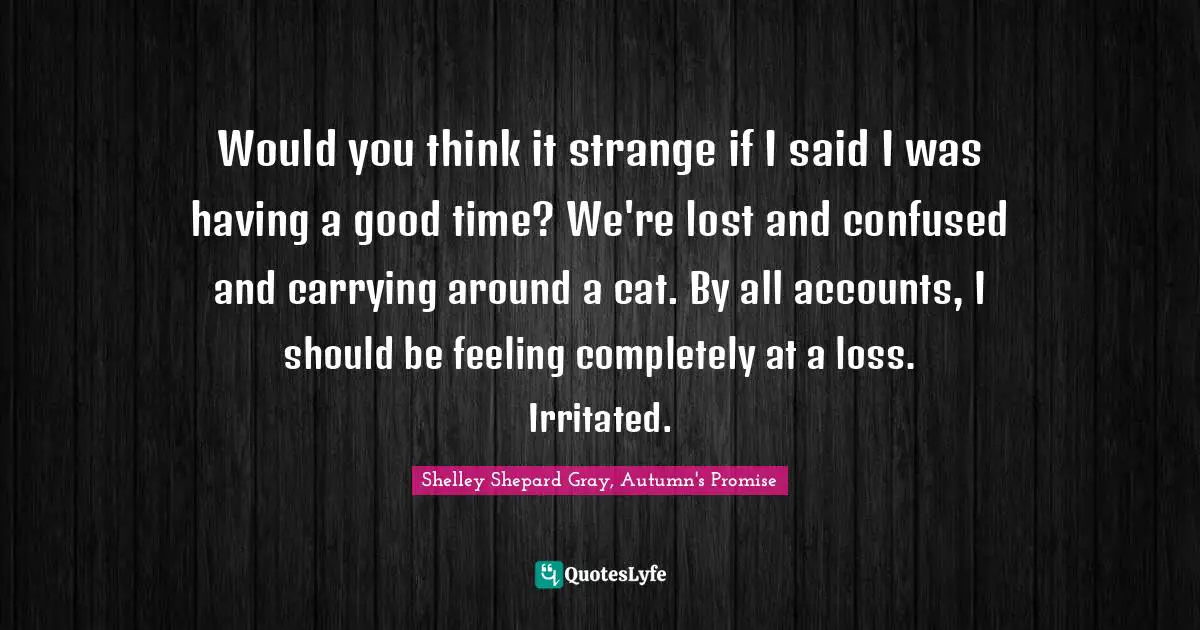 Would you think it strange if I said I was having a good time? We're lost and confused and carrying around a cat. By all accounts, I should be feeling completely at a loss. Irritated.