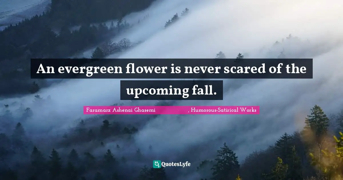 An evergreen flower is never scared of the upcoming fall.