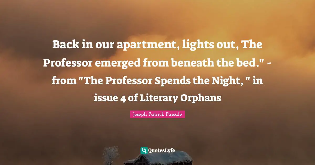 Back in our apartment, lights out, The Professor emerged from beneath the bed." - from "The Professor Spends the Night, " in issue 4 of Literary Orphans